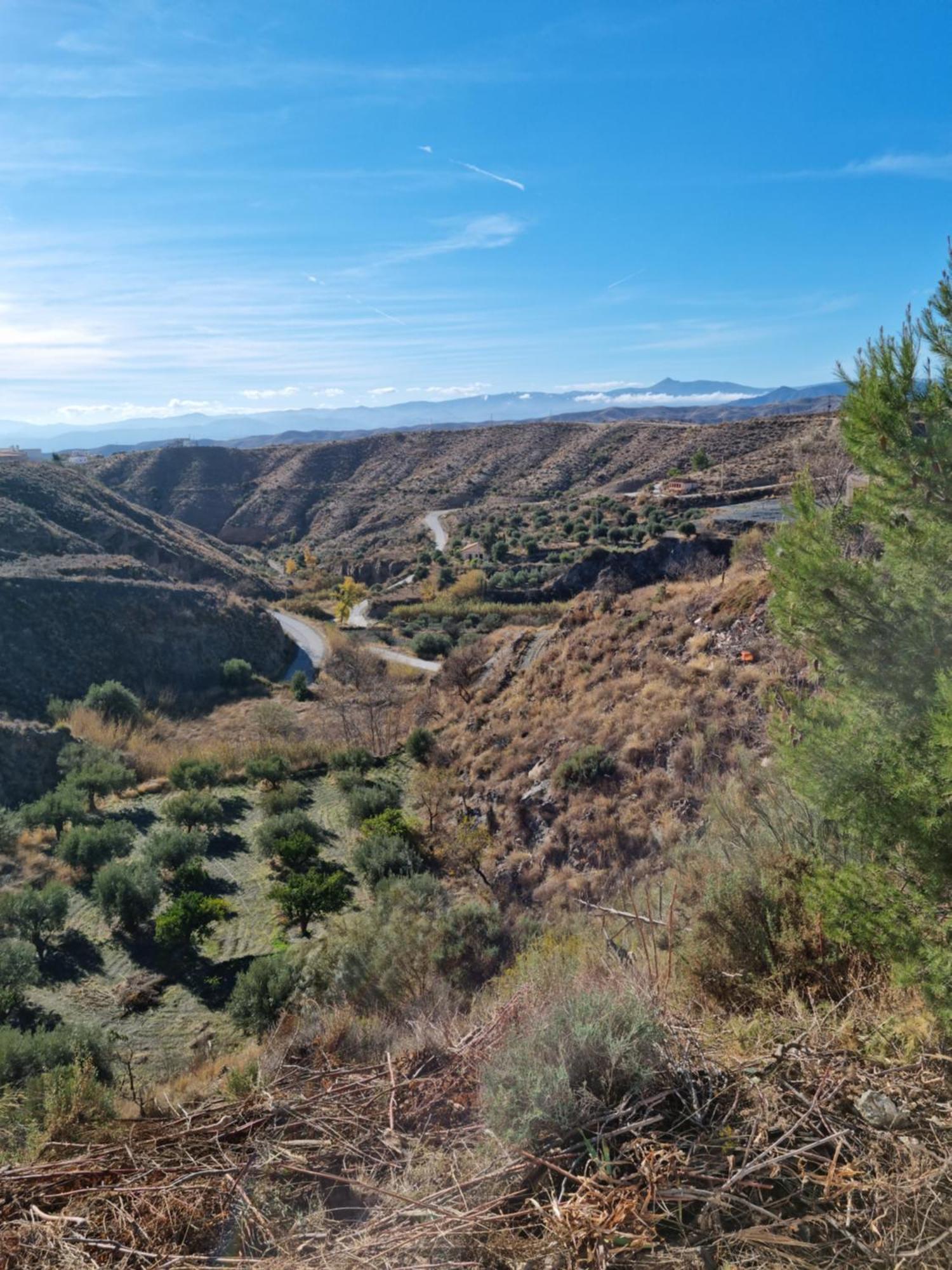 Cortijo Naturista Con Vistas-Clothing Optional Oria Zewnętrze zdjęcie