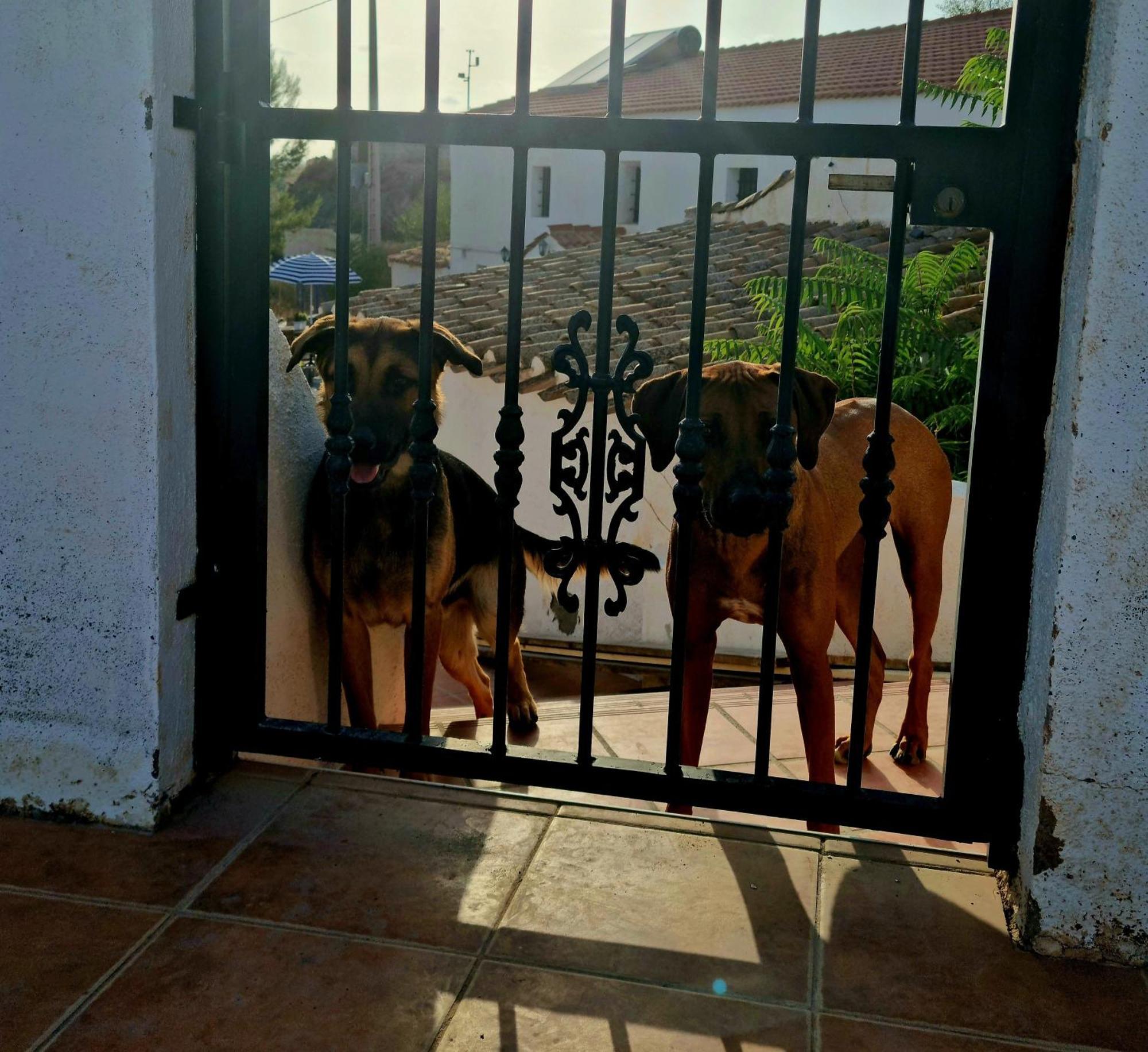 Cortijo Naturista Con Vistas-Clothing Optional Oria Zewnętrze zdjęcie